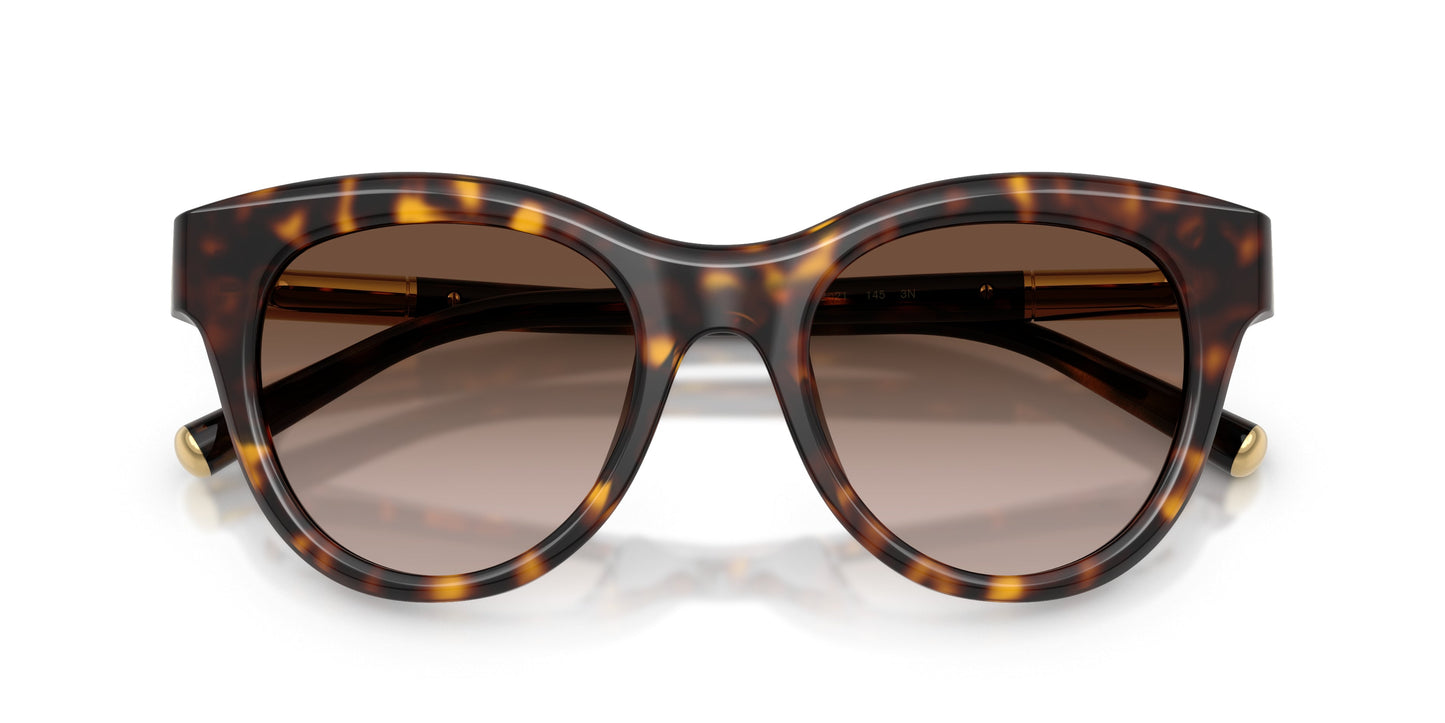 Dolse & Gabana 4518 Sunglasses