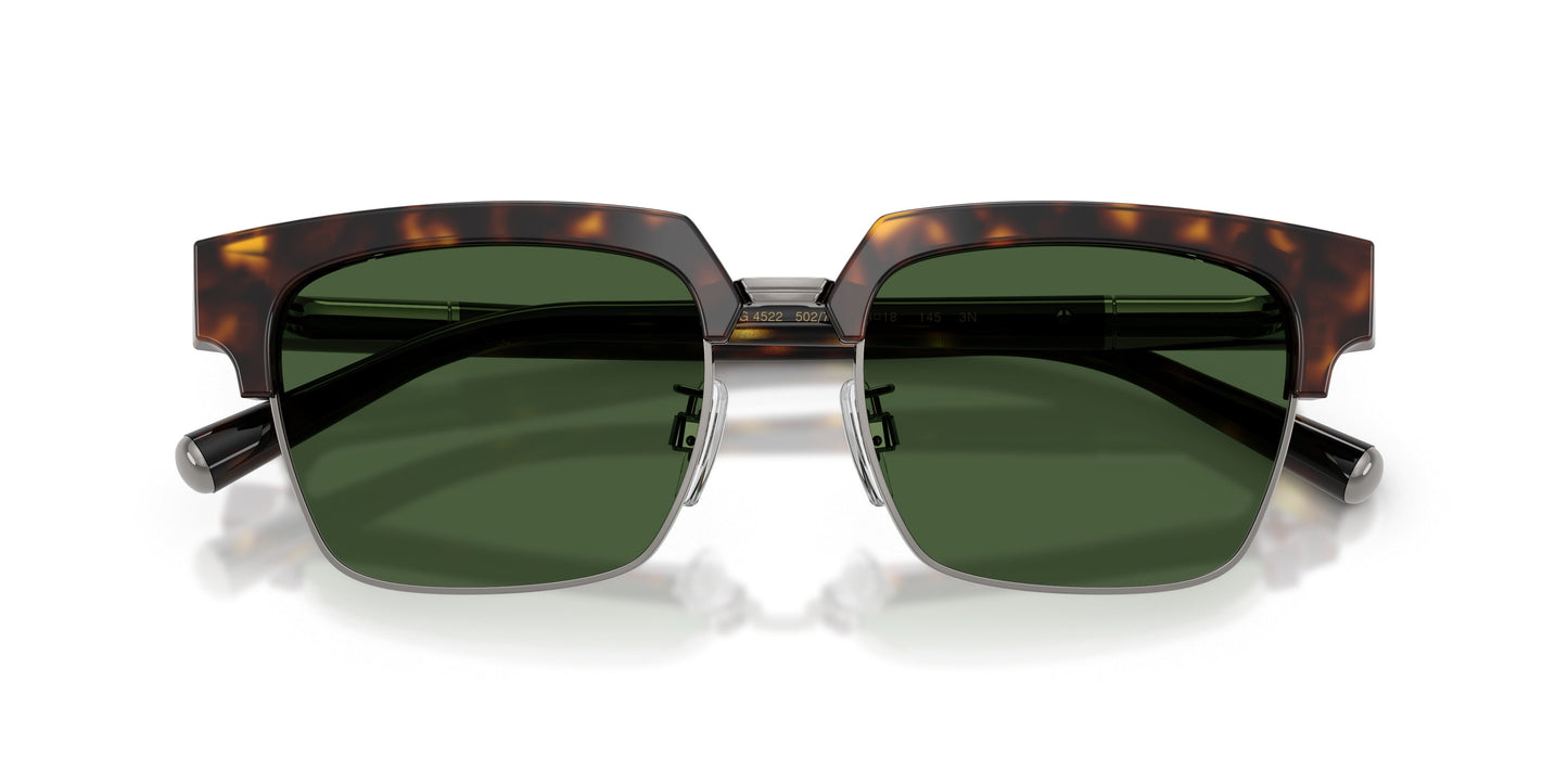 Dolse & Gabana 4522 Sunglasses