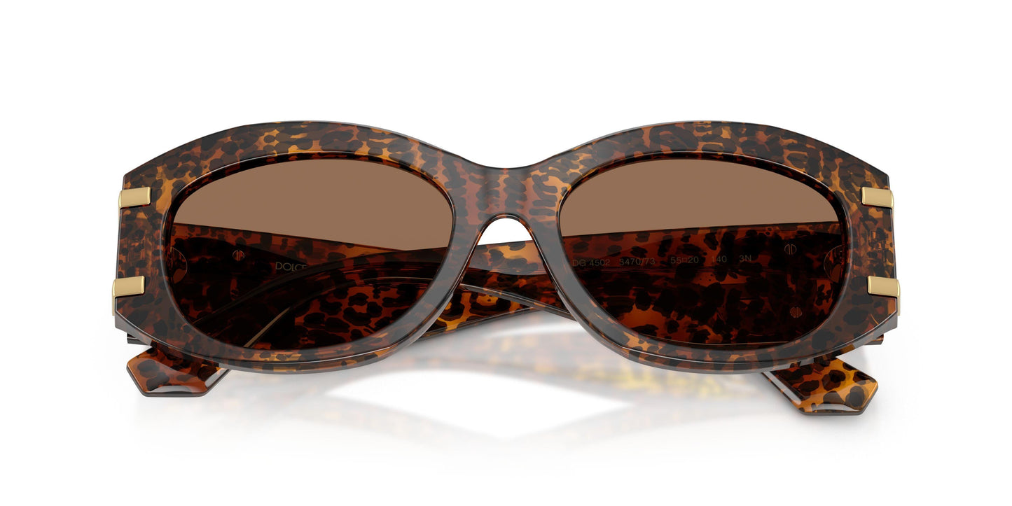 Dolse & Gabana 4502 Sunglasses