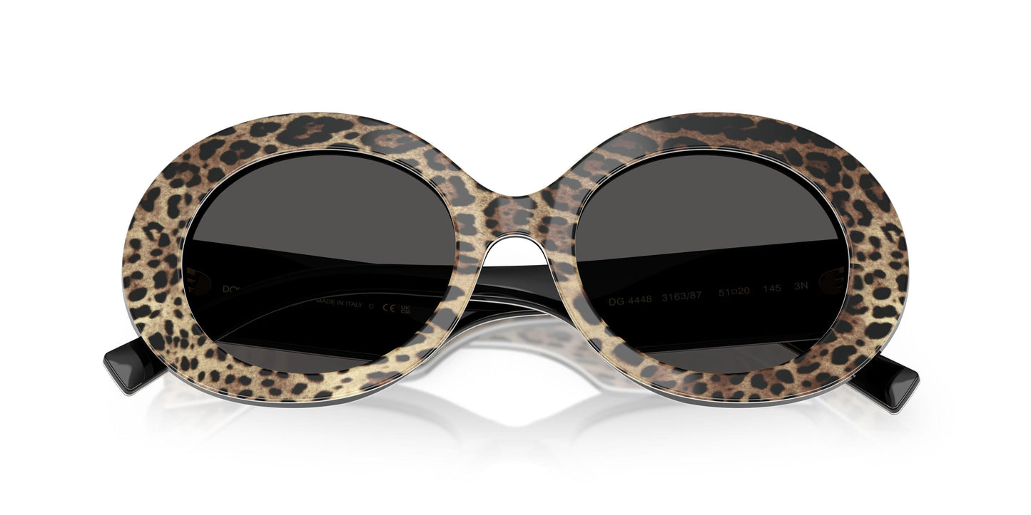 Dolse & Gabana 4448 Sunglasses