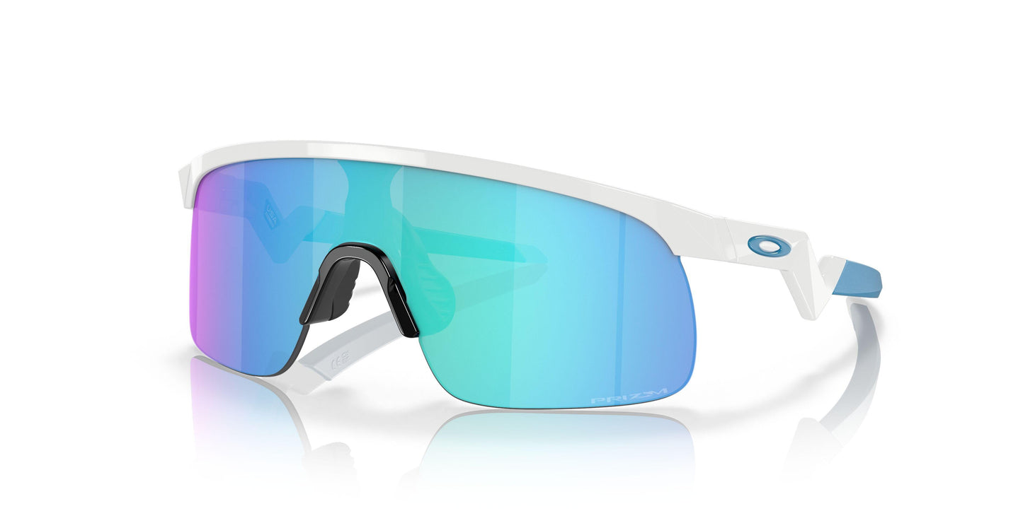 Oakley Resistor 9010 Sunglasses