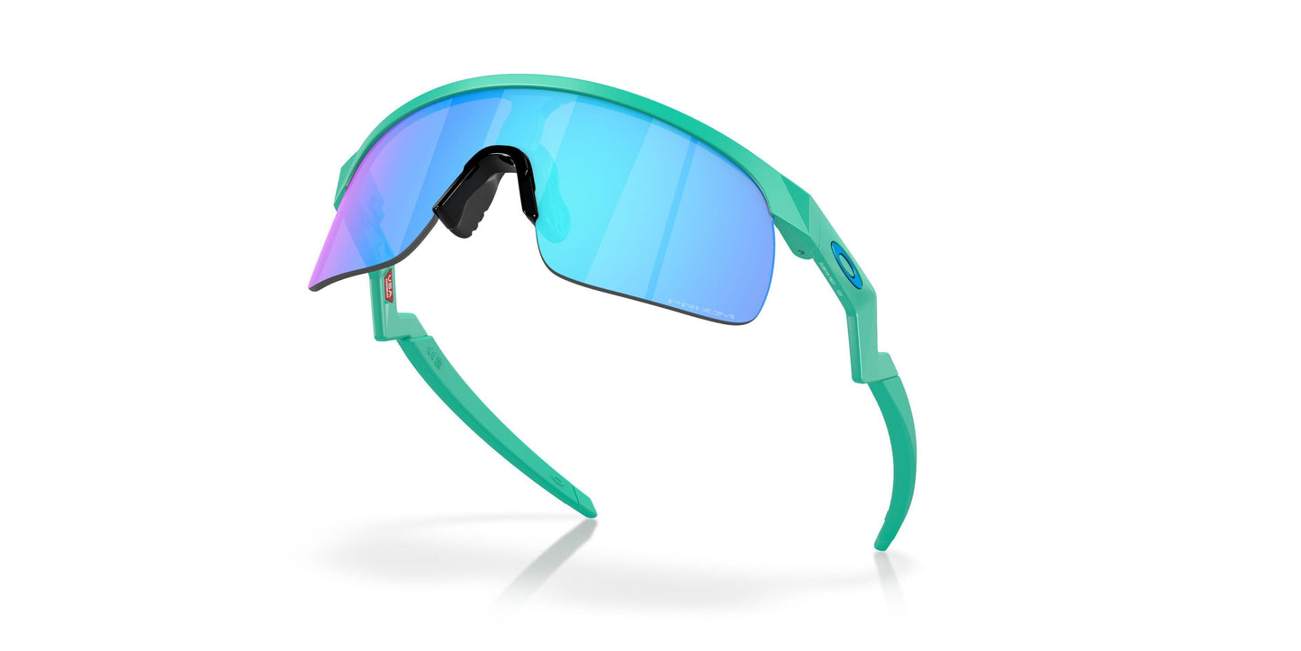 Oakley Resistor 9010 Sunglasses