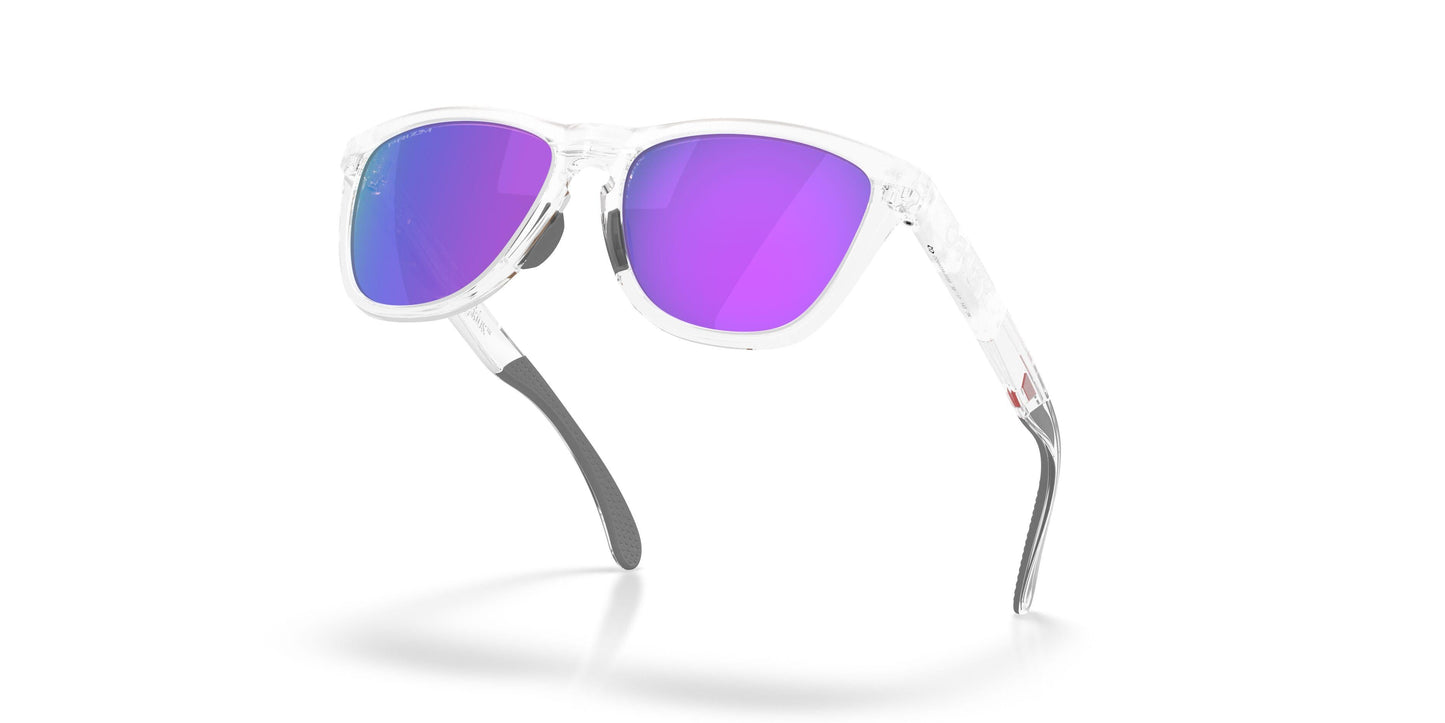 Oakley Frogskins Range Xl A 9503A Sunglasses