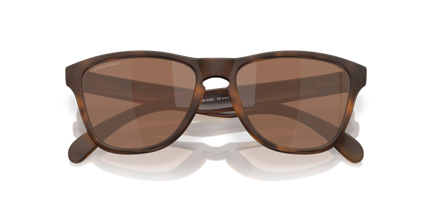 Oakley Frogskins S 9508 Sunglasses