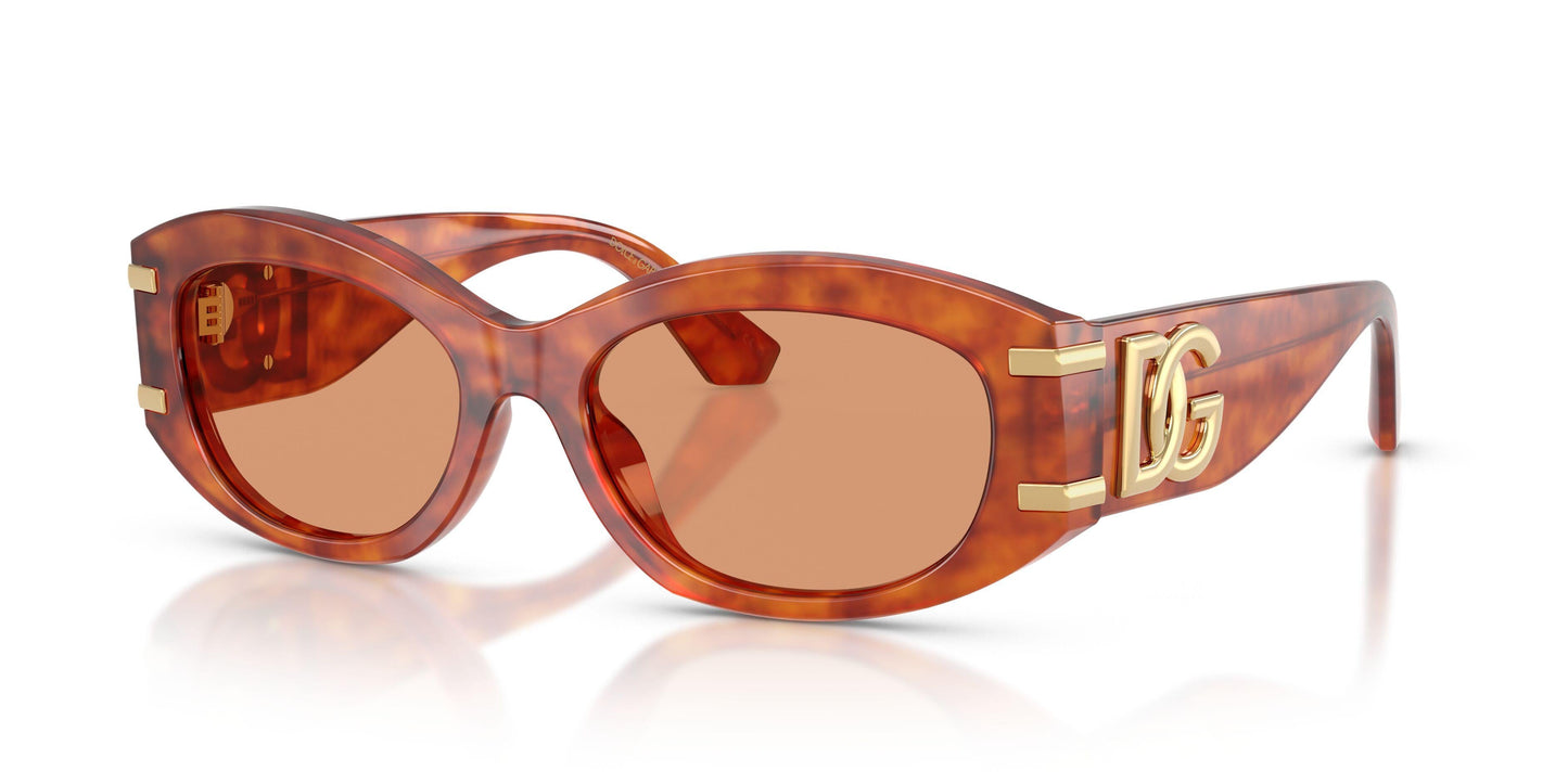 Dolse & Gabana  4502 Sunglasses