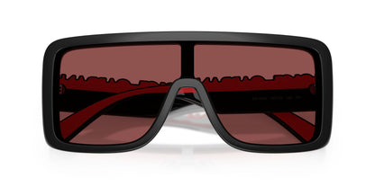 Dolse & Gabana  6204 Sunglasses