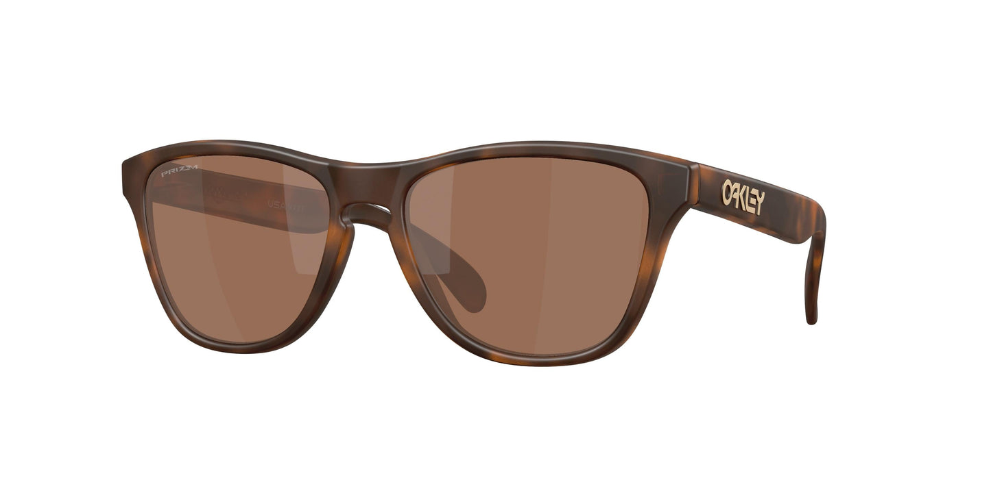 Oakley Frogskins S 9508 Sunglasses