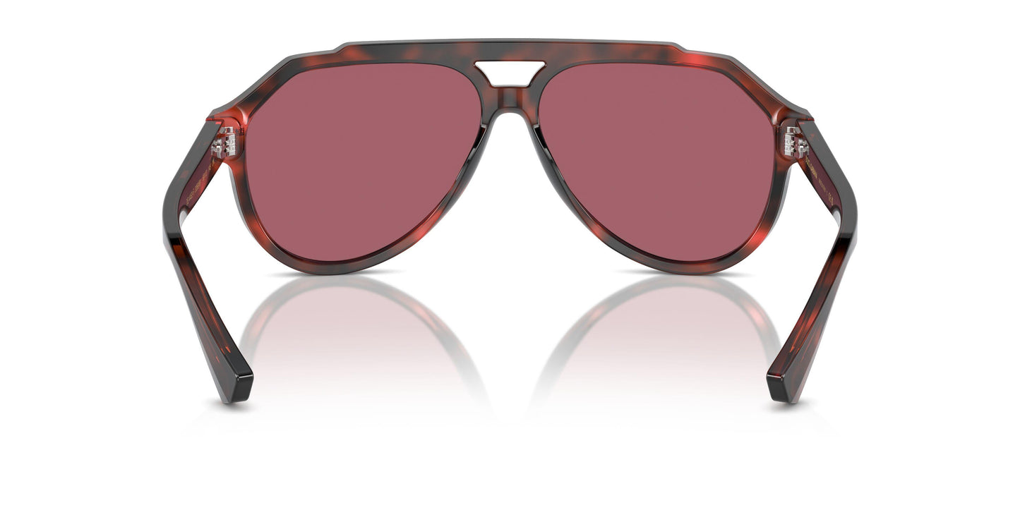 Dolse & Gabana  4452F Sunglasses