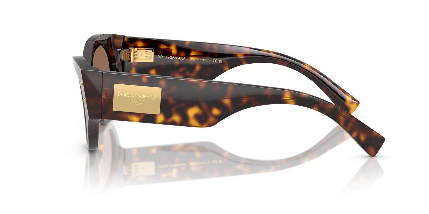 Dolse & Gabana  4480 Sunglasses