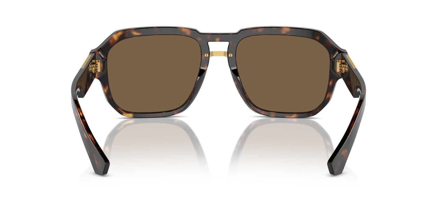 Dolse & Gabana  4464F Sunglasses