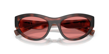 Dolse & Gabana  6207 Sunglasses