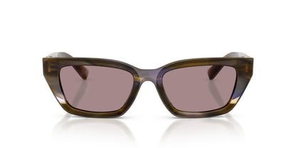 Dolse & Gabana  4532 Sunglasses