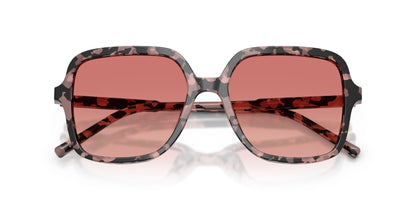 Dolse & Gabana  4539 Sunglasses