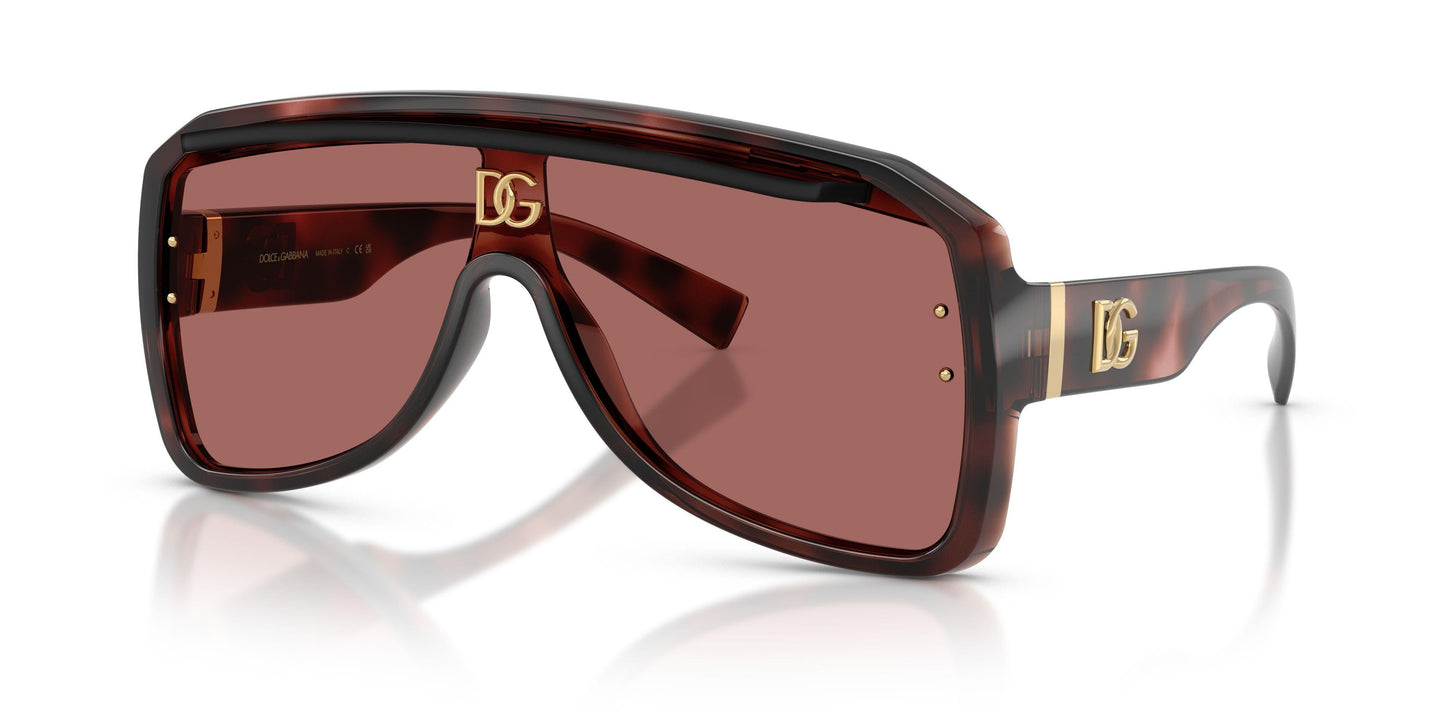 Dolse & Gabana  6205 Sunglasses