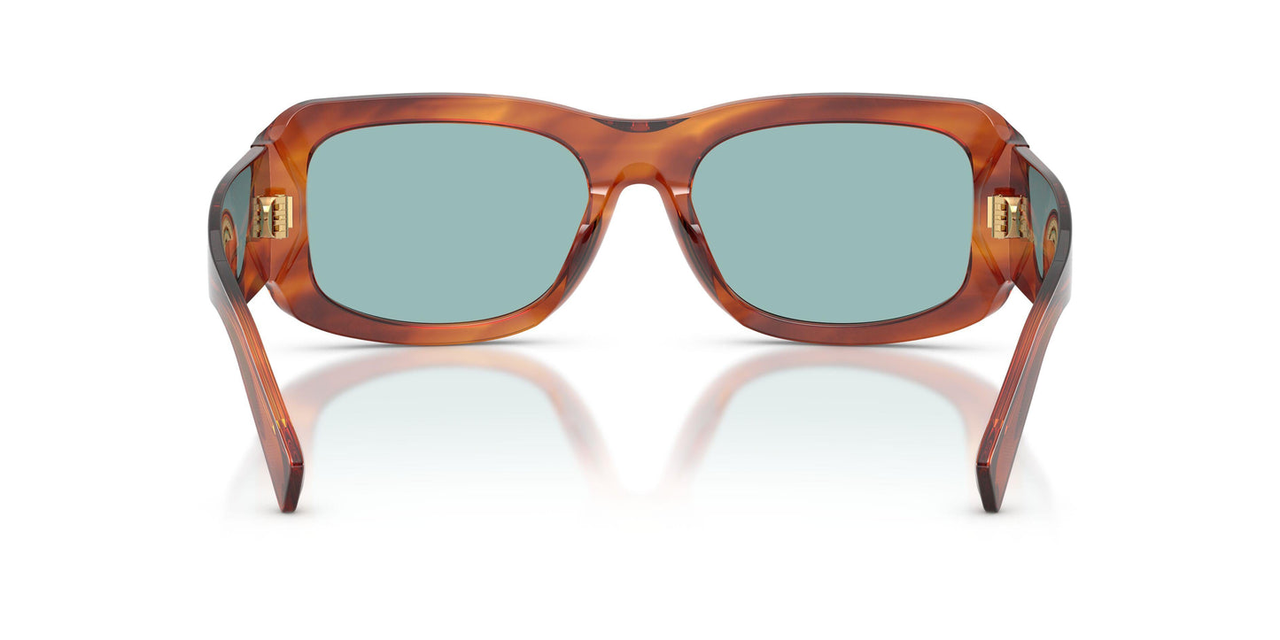 Dolse & Gabana  4503 Sunglasses