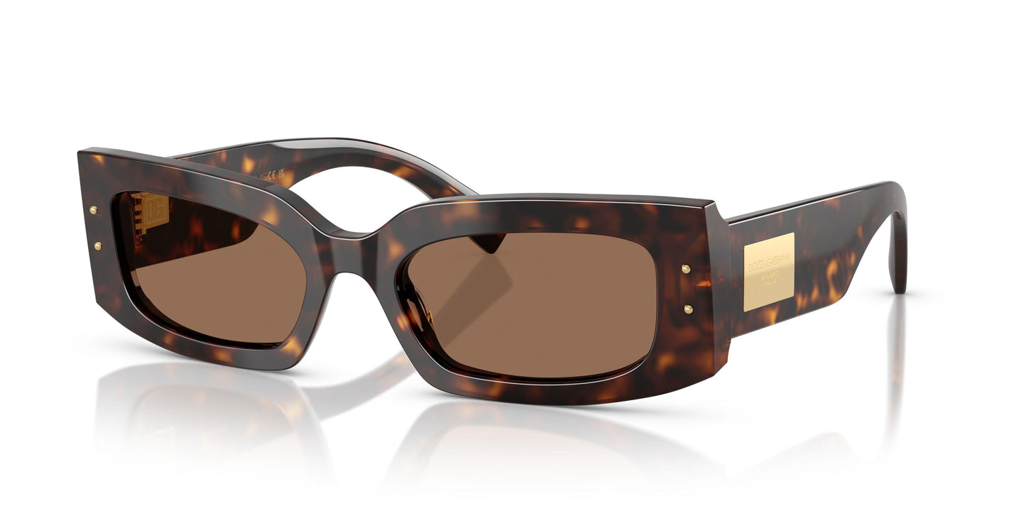 Dolse & Gabana  4479 Sunglasses
