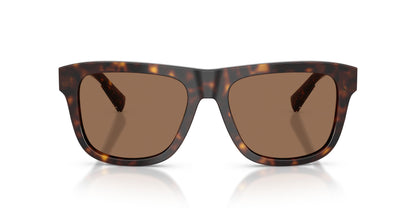 Dolse & Gabana  4545 Sunglasses