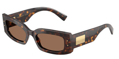 Dolse & Gabana  4479 Sunglasses