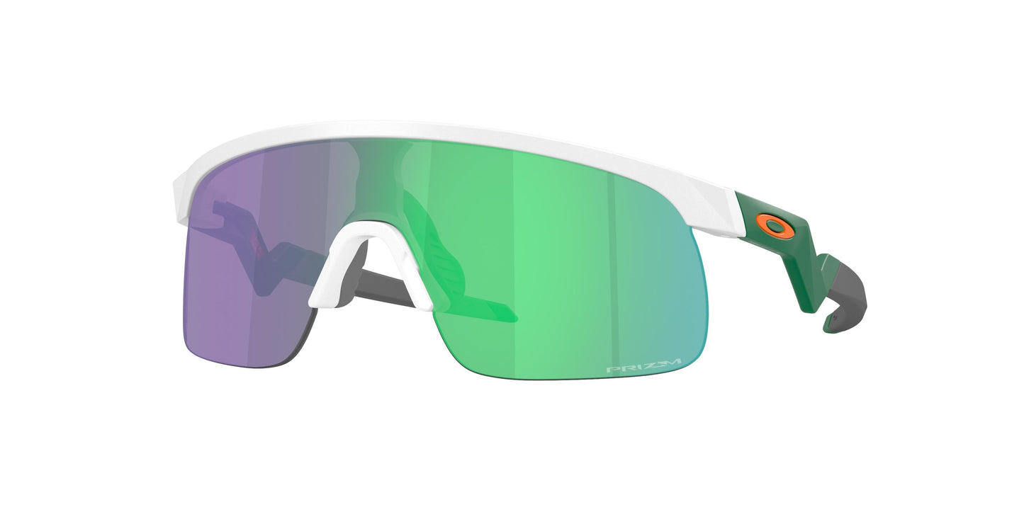 Oakley Resistor 9010 Sunglasses