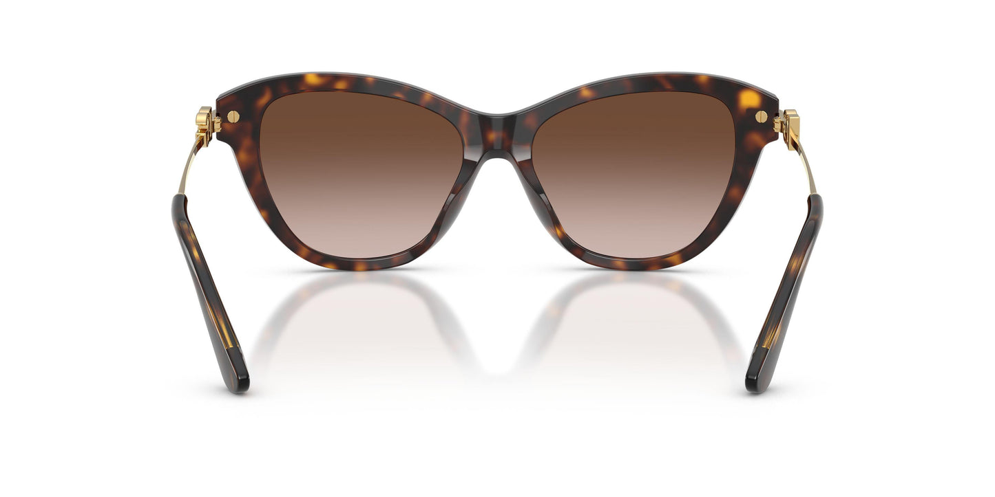 Dolse & Gabana  4534 Sunglasses