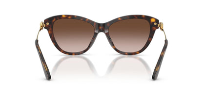Dolse & Gabana  4534 Sunglasses