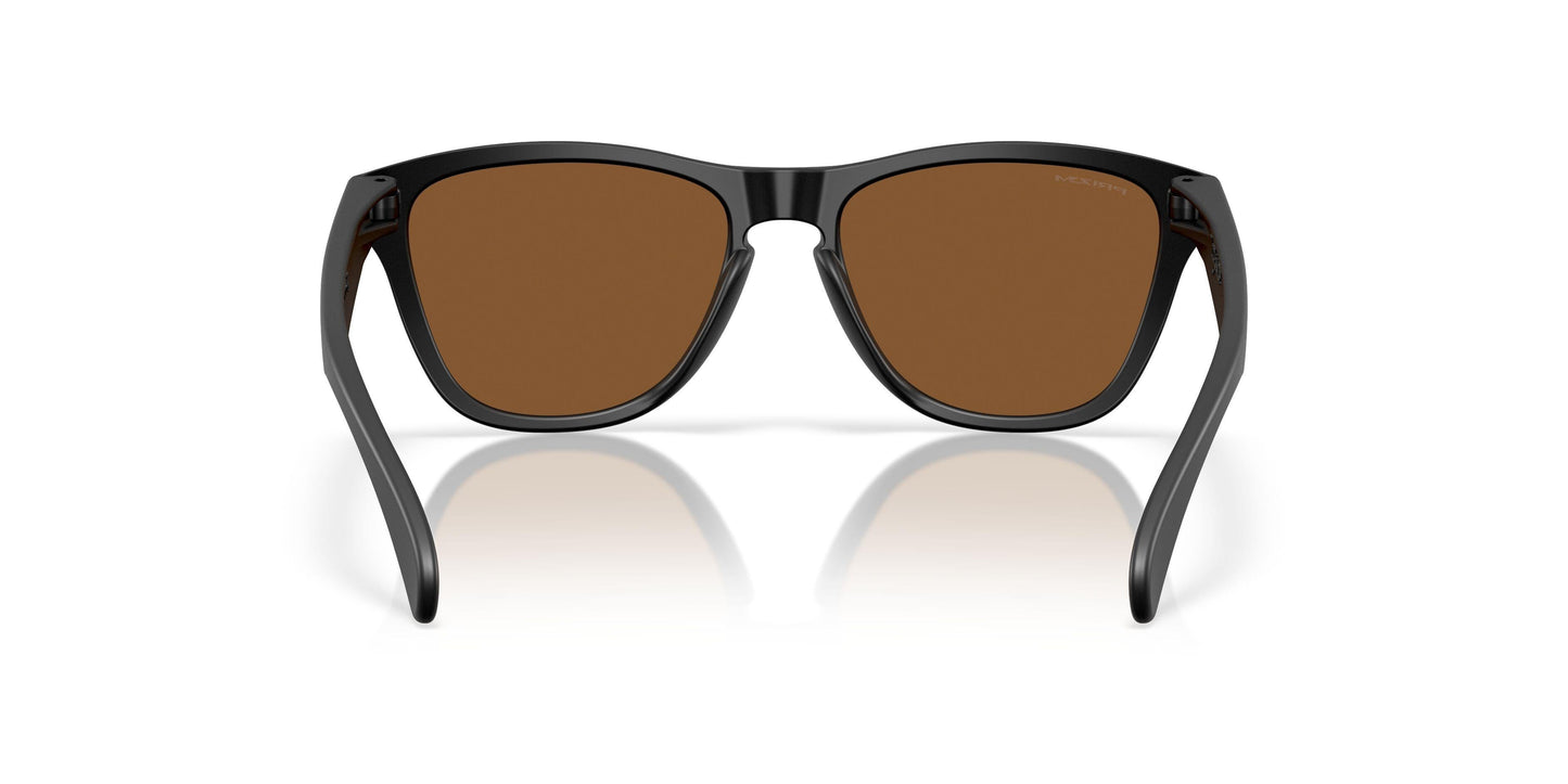 Oakley Frogskins S 9508 Sunglasses