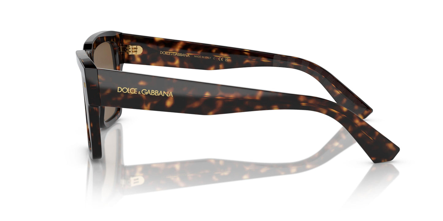 Dolse & Gabana  4431 Sunglasses