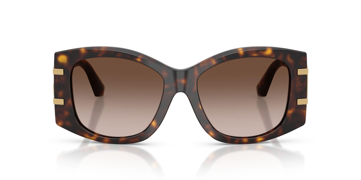 Dolse & Gabana  4501 Sunglasses