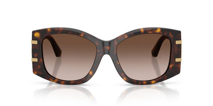 Dolse & Gabana  4501 Sunglasses