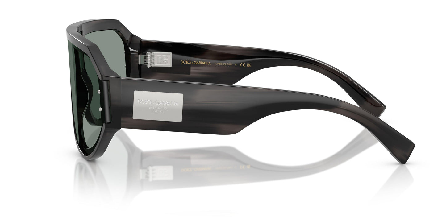 Dolse & Gabana  4481F Sunglasses