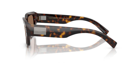 Dolse & Gabana  4483 Sunglasses