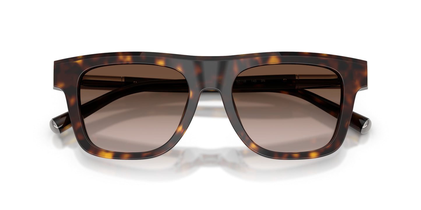 Dolse & Gabana  4521 Sunglasses