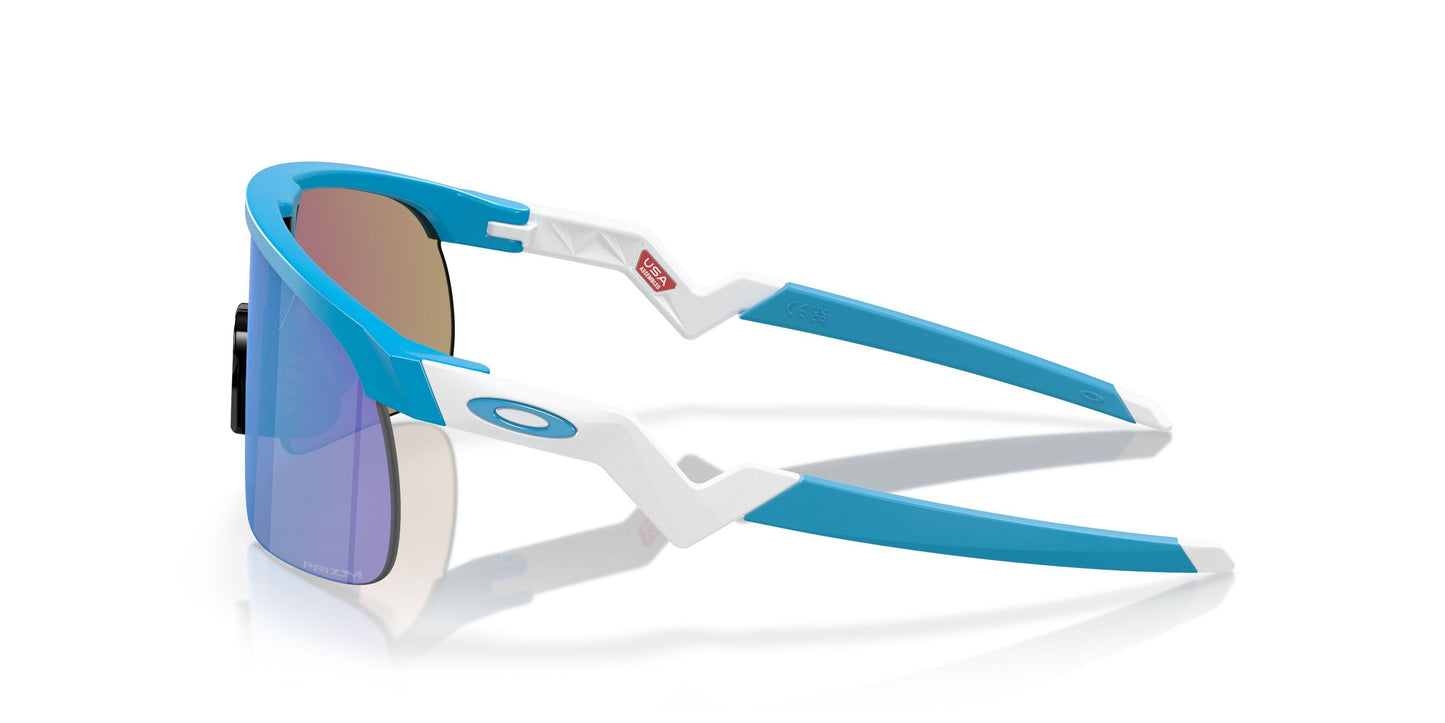 Oakley Resistor 9010 Sunglasses
