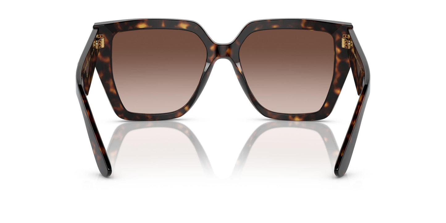 Dolse & Gabana  4438 Sunglasses