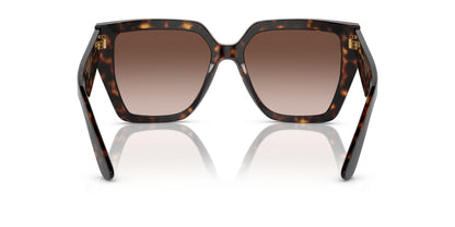 Dolse & Gabana  4438 Sunglasses