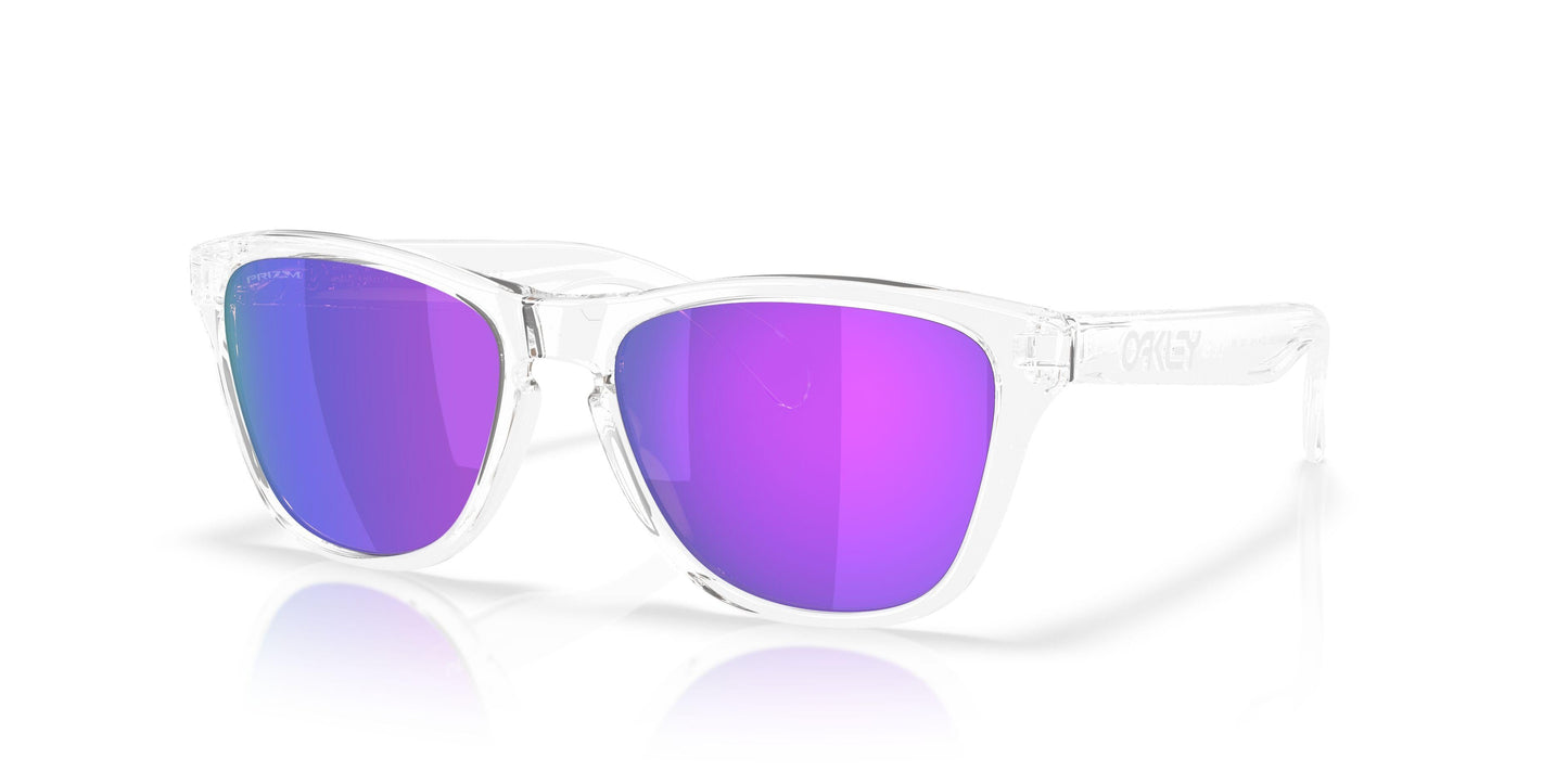 Oakley Frogskins S 9508 Sunglasses