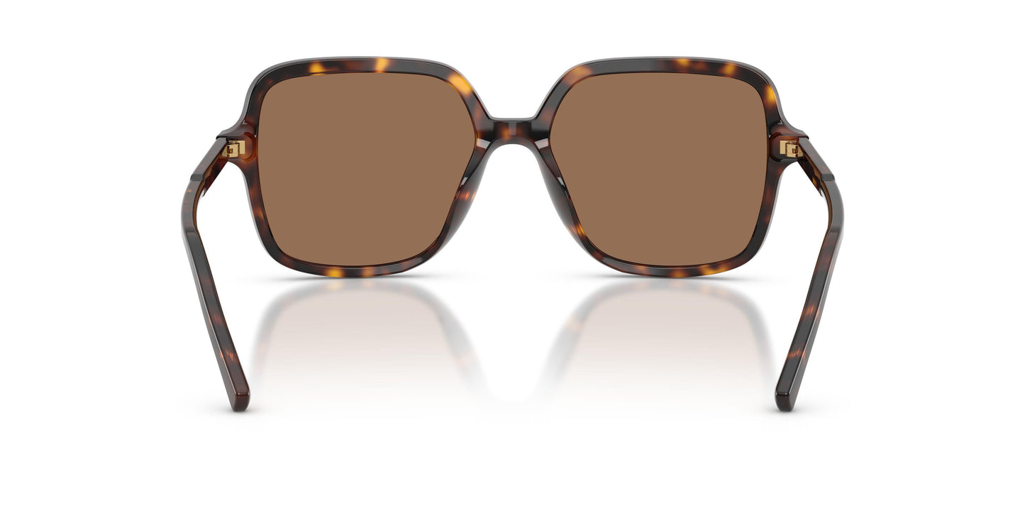 Dolse & Gabana  4539 Sunglasses