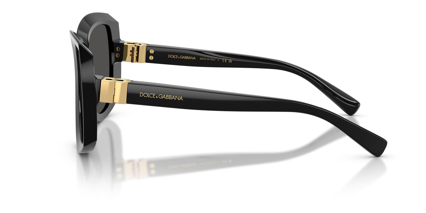 Dolse & Gabana  4495 Sunglasses
