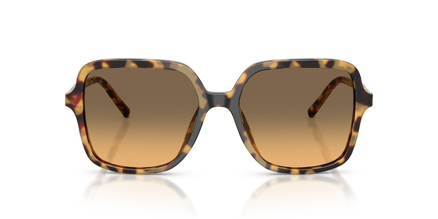 Dolse & Gabana  4539 Sunglasses