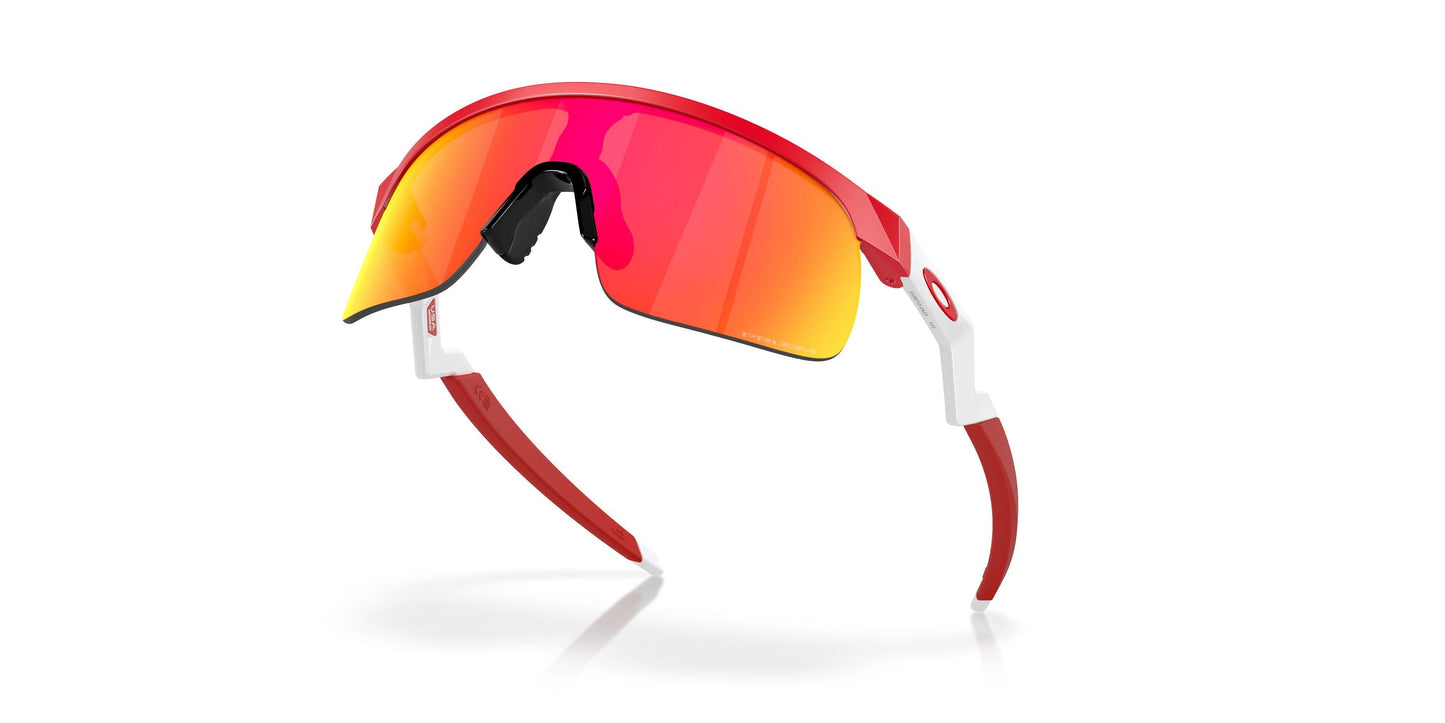 Oakley Resistor 9010 Sunglasses