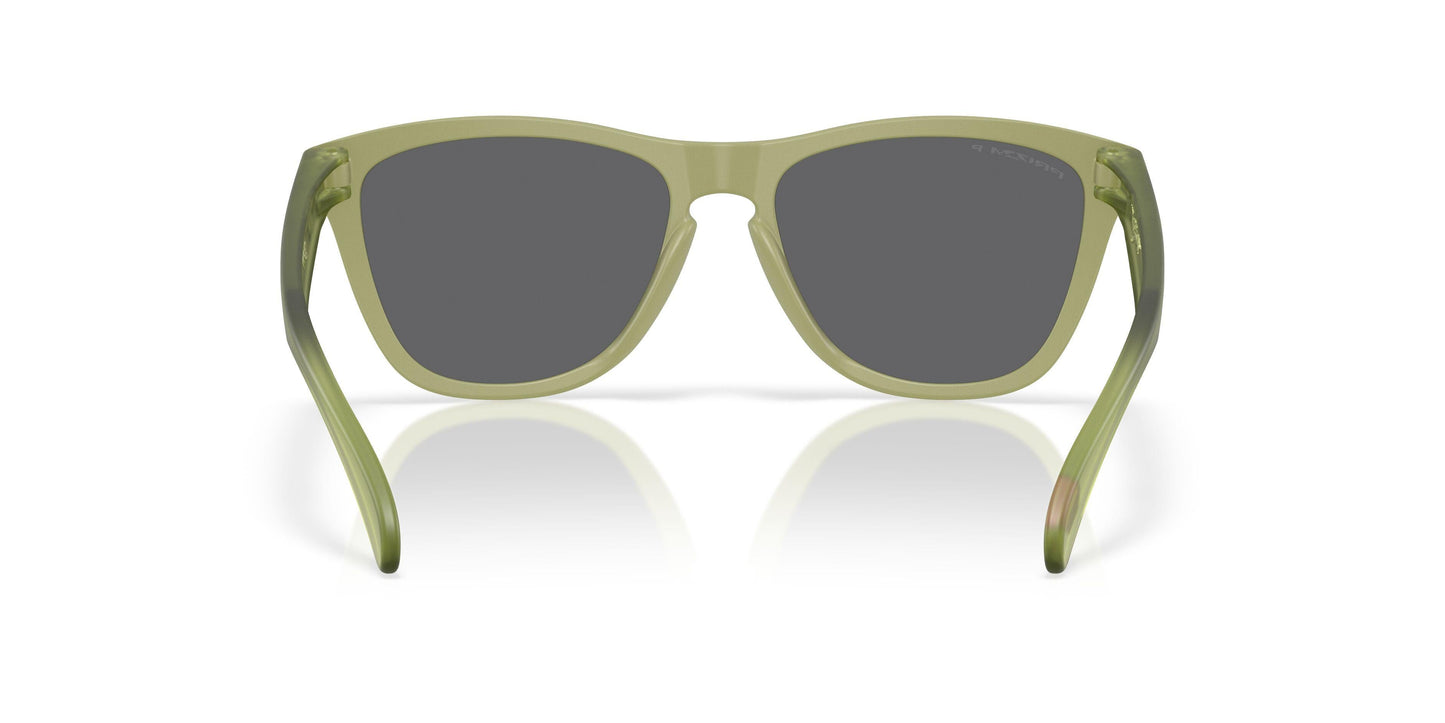 Oakley Frogskins 9245 Sunglasses