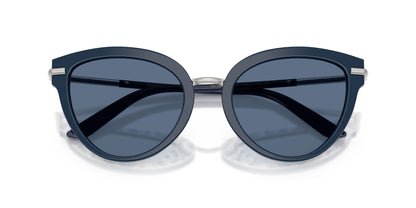 Dolse & Gabana  4492 Sunglasses
