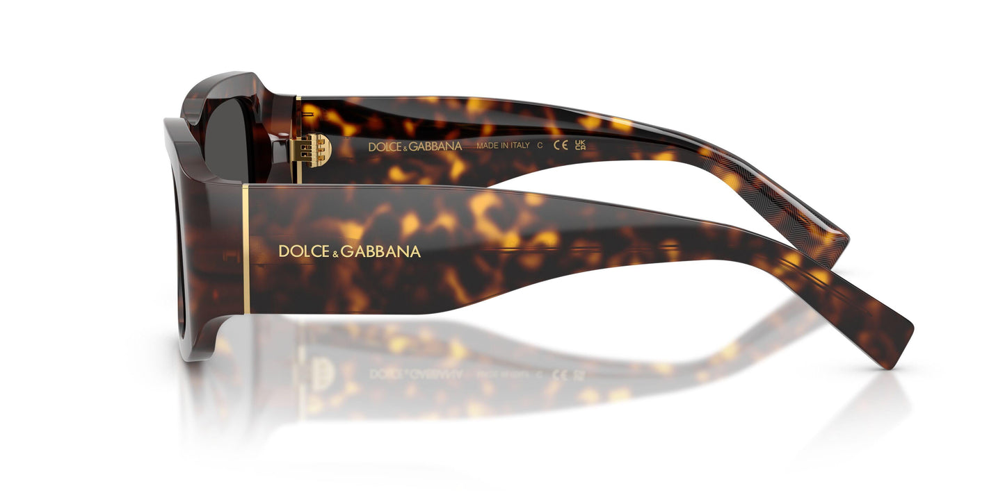 Dolse & Gabana  4503 Sunglasses