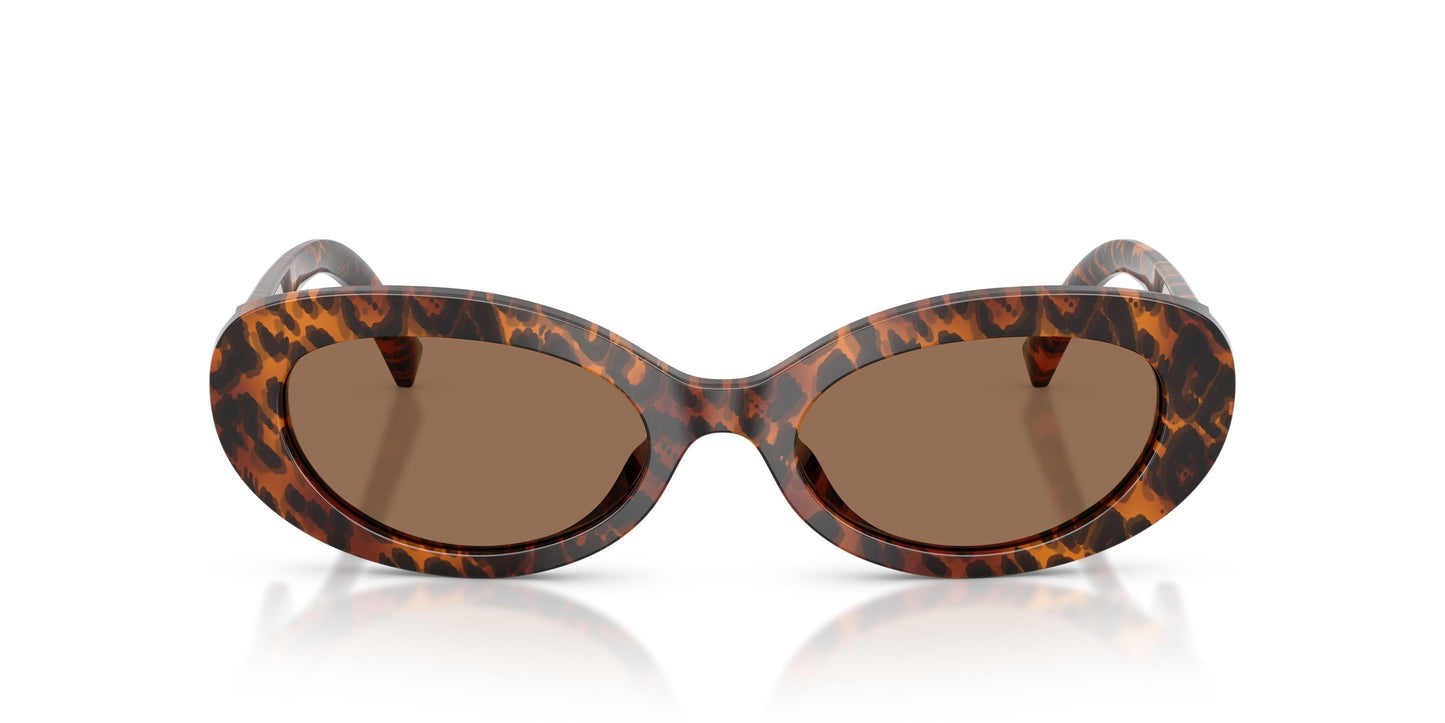 Dolse & Gabana  4537 Sunglasses