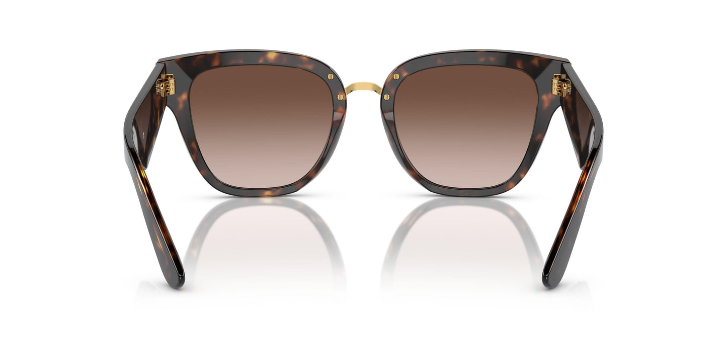 Dolse & Gabana  4437 Sunglasses