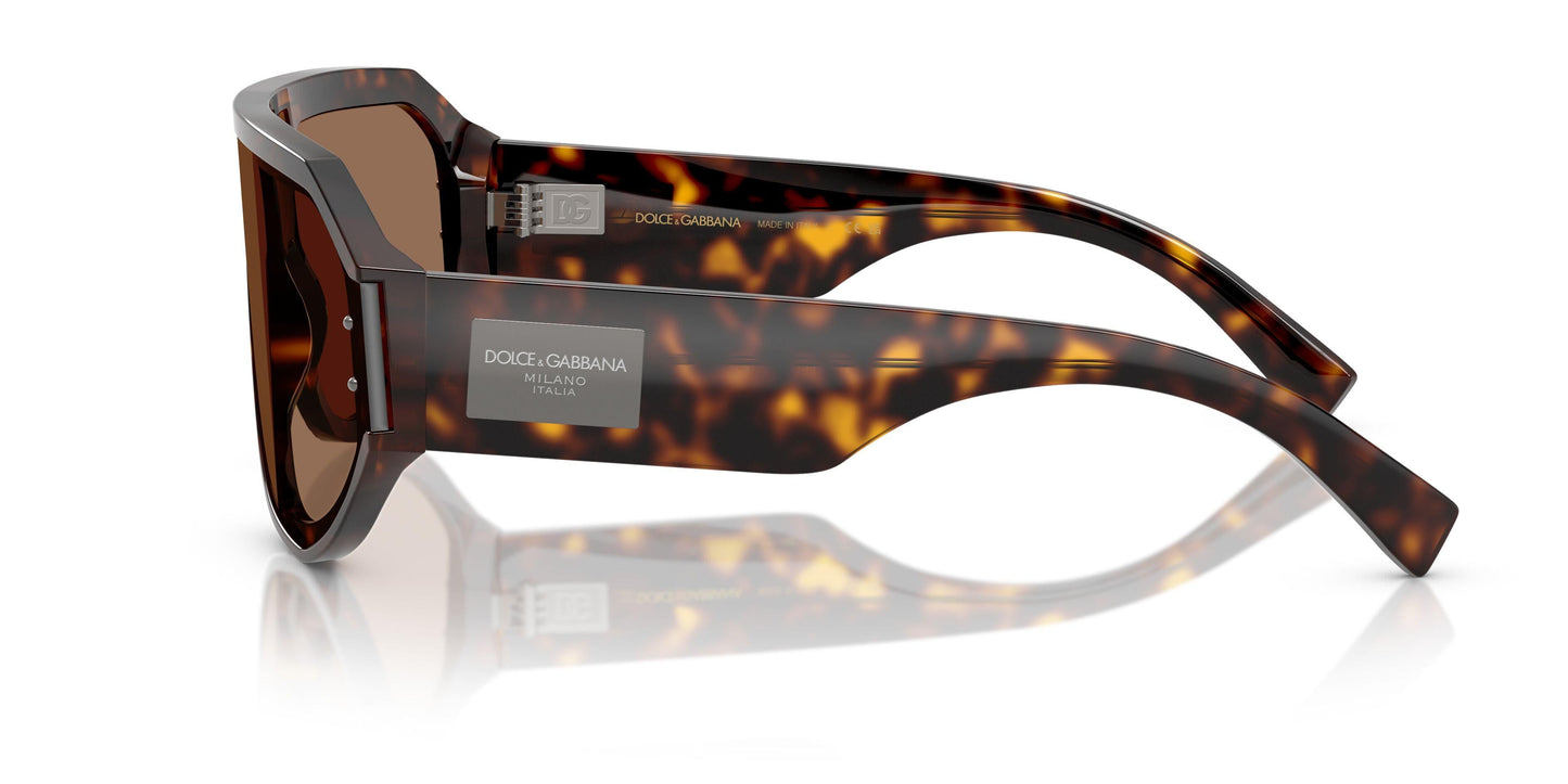 Dolse & Gabana  4481 Sunglasses