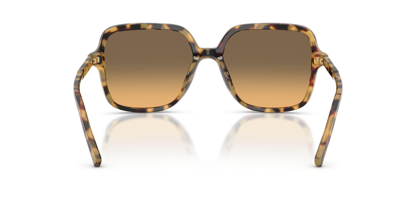 Dolse & Gabana  4539 Sunglasses