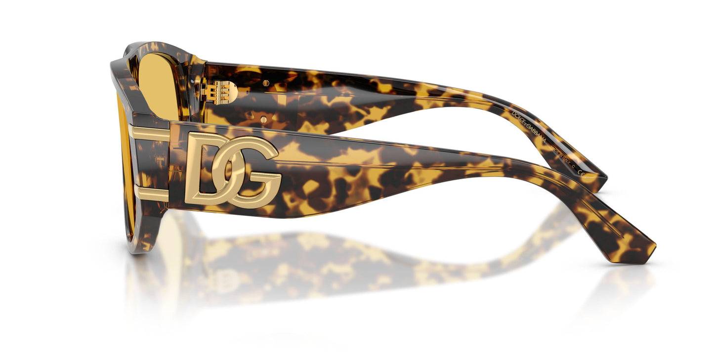 Dolse & Gabana  4499 Sunglasses