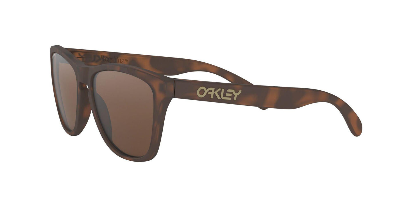 Oakley Frogskins 9013 Sunglasses
