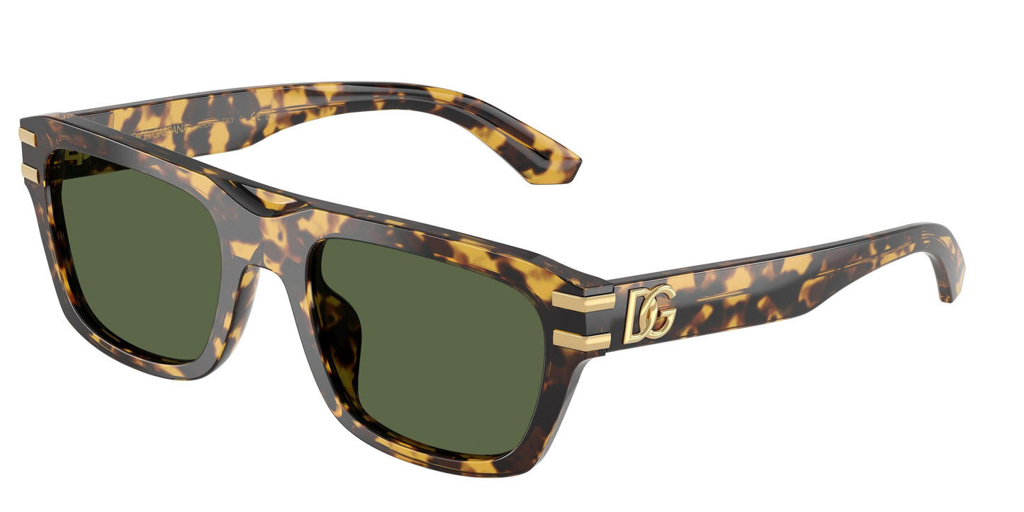 Dolse & Gabana  4496 Sunglasses